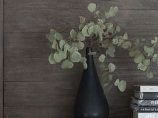 wood wash porters paints