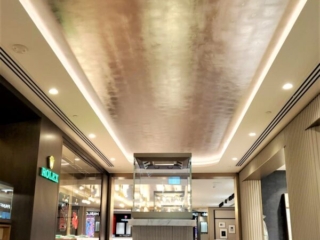 Silver Speciality Painted Finish in Perth